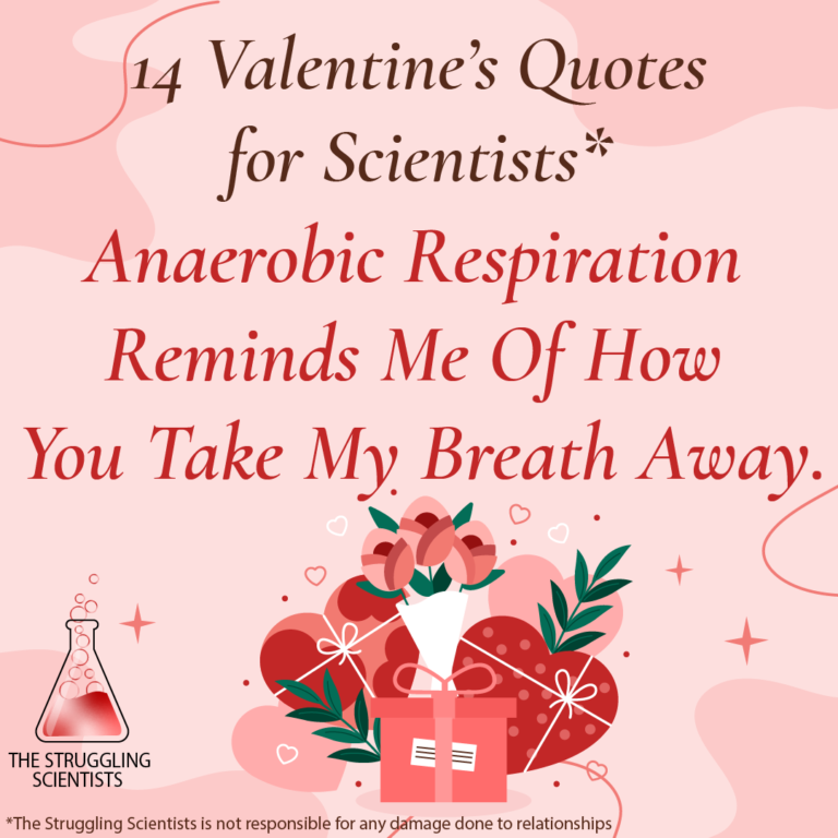 Anaerobic Respiration Reminds me of how you take my breath away.